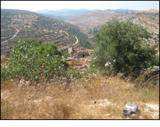 Hills surrounding Bethlehem